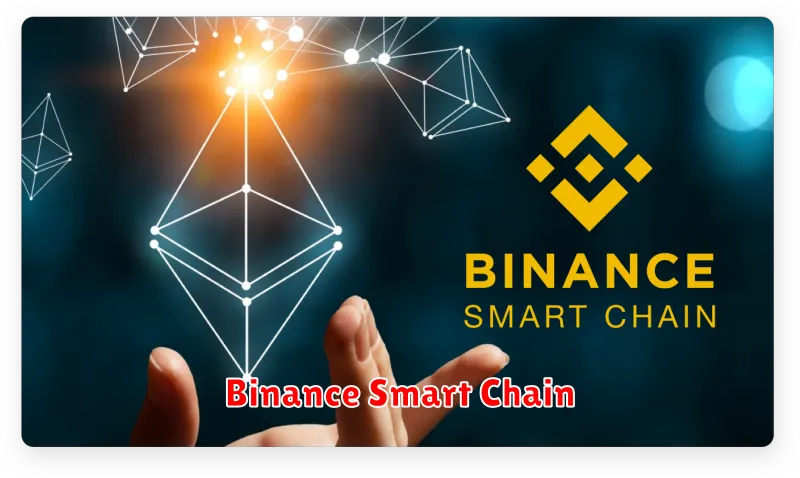 Binance Smart Chain