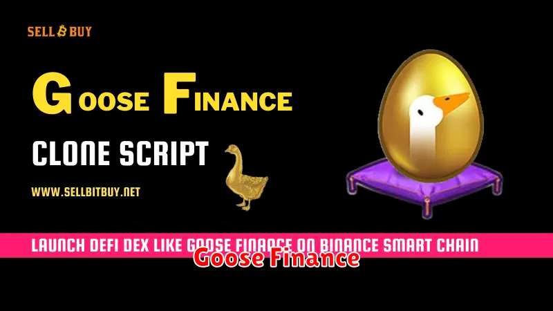 Goose Finance