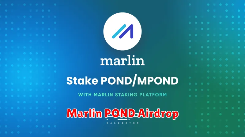 Marlin POND Airdrop