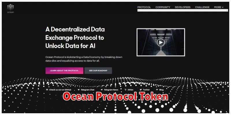 Ocean Protocol Token