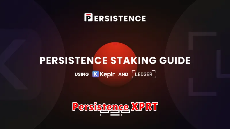 Persistence XPRT