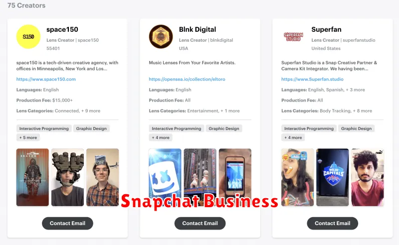 Snapchat Business