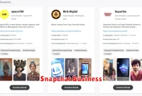 Snapchat Business