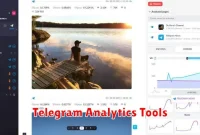 Telegram Analytics Tools