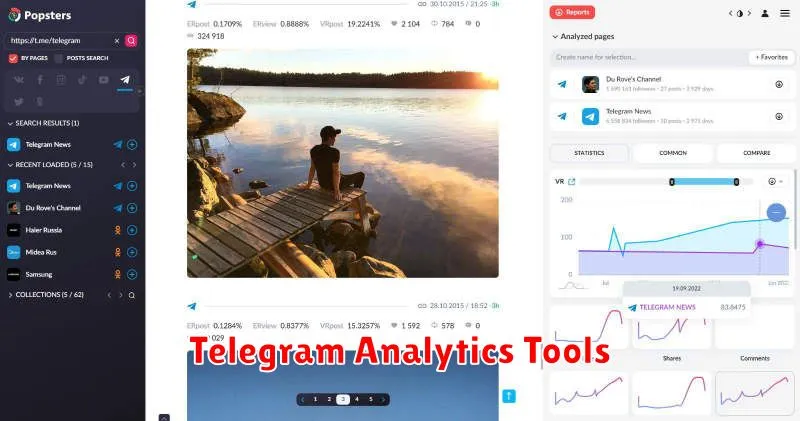 Telegram Analytics Tools