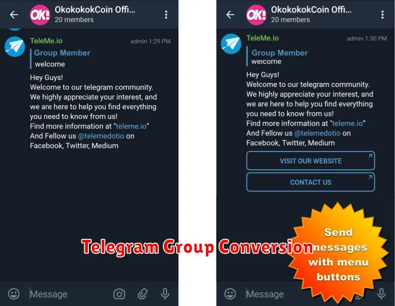 Telegram Group Conversion