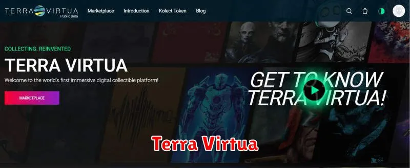 Terra Virtua