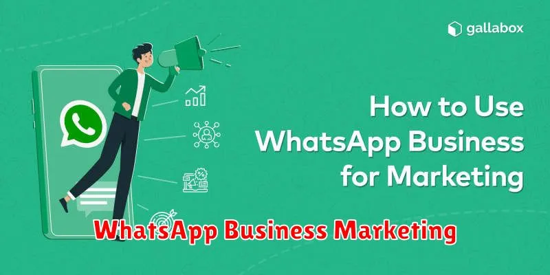 WhatsApp Business Marketing