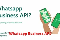 Whatsapp Business API