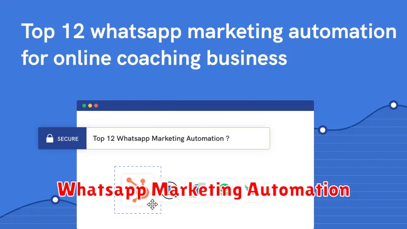 Whatsapp Marketing Automation