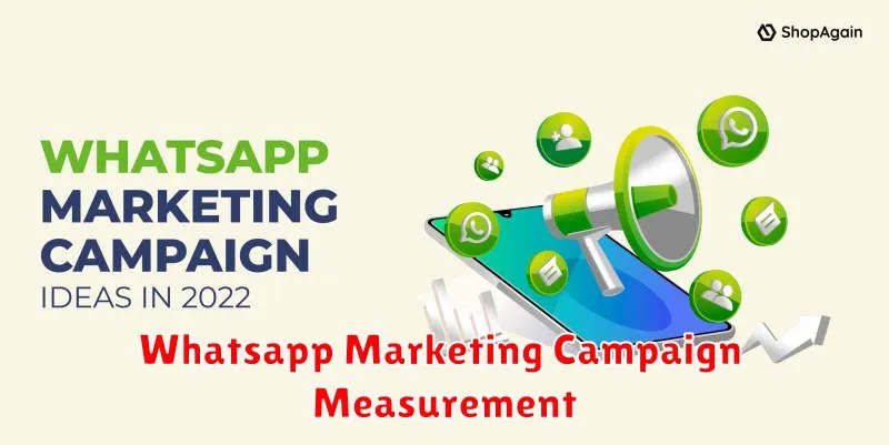 Whatsapp Marketing Campaign Measurement