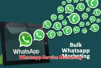 Whatsapp Service Marketing